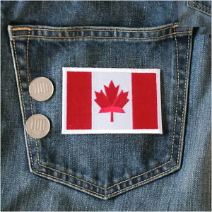 TOSPA E̍ Ji_ hJby AC+V[2WAYڒi6×9cmj