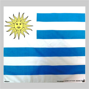 y݌ɌzTOSPA o_i ٓ`[t EOAC i51×51cm 100j