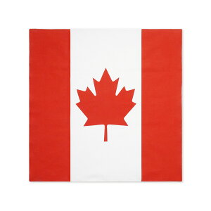 TOSPA o_i Ji_  100 52×52cm { ٓ`[t nJ`