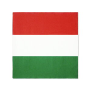 TOSPA o_i nK[  100 52×52cm { ٓ`[t nJ`