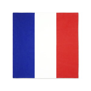 TOSPA o_i tX  100 52×52cm { ٓ`[t nJ`