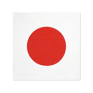 TOSPA o_i {  100 52×52cm { ٓ`[t nJ` ̊