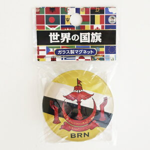 TOSPA NX^}Olbg ulC  KX E̍KX}OlbgV[Y