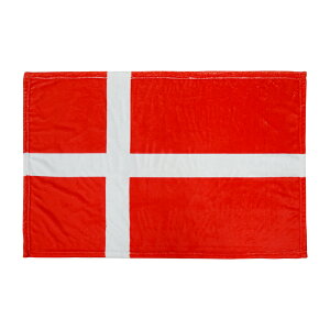 TOSPA uPbg f}[N  60×90cm }CNt@Co[n X|[cϐ퉞tbOpЂ|