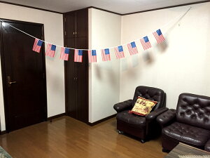 TOSPA 10~jA AJ USA  14×21cm S3.5m eg|W