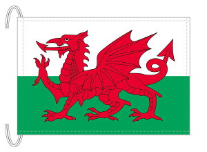 TOSPA �E�F�[���Y ���� M�T�C�Y 34×50cm �e�g������ ���{�� ���E�̍����V���[�Y