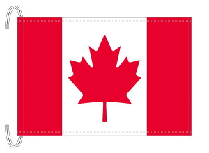 TOSPA Ji_  MTCY 34×50cm eg { E̍V[Y