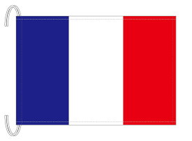 TOSPA フランス 国旗 Mサイズ 34×50cm テトロン製 日本製 世界の国旗シリーズ