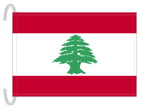 TOSPA ���o�m�� ���� M�T�C�Y 34×50cm �e�g������ ���{�� ���E�̍����V���[�Y