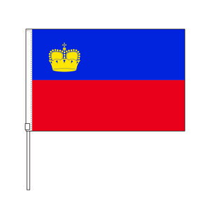 TOSPA qeV^C  SF TCY20×30cm |GXe |[31cm̃Zbg