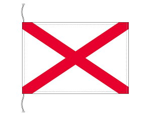 TOSPA ���p�g���b�N �� ���p�g���b�N�\�� ���� ���T�C�Y16×24cm �e�g�����g���}�b�g�� ���{�� ���E�̋����� ���E�̑g�D���V���[�Y