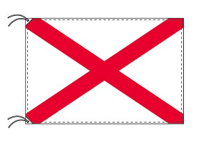 TOSPA ���p�g���b�N �� ���p�g���b�N�\�� 90×135cm �e�g������ ���{�� ���E�̋����� ���E�̑g�D���V���[�Y