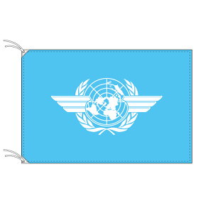 ICAO CJI ACJI ۖԍq@  70×105cm eg { E̋EȆgDV[Y