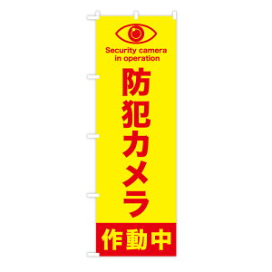 TOSPA �̂ڂ�� �u�h�ƃJ�����쓮�� Security camera in operation�v 60×180cm �|���G�X�e����