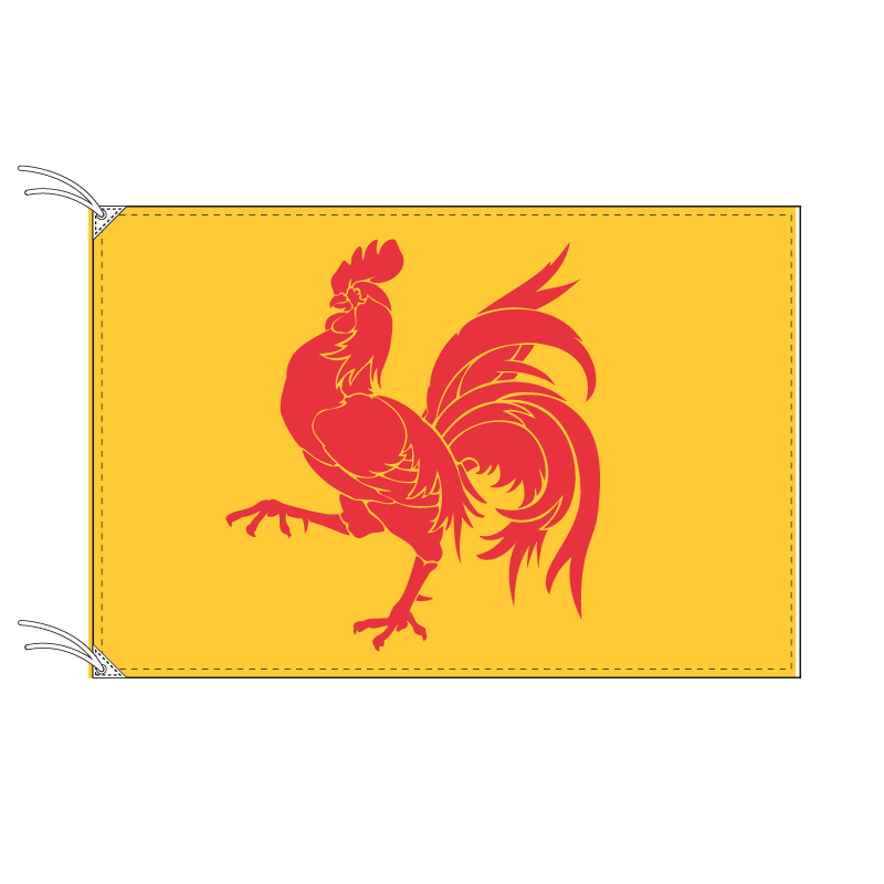 楽天市場】TOSPA ワロン地域の旗 ベルギーの地方の旗 100×150cm