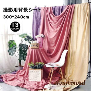 G݁@wiV[g Bepwiz TCY X^WIwiXN[V[g ʐ^ 300*240cm v[g Mtg V