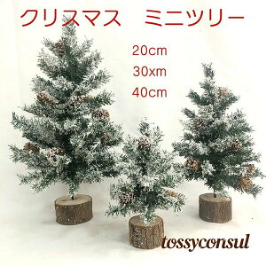 NX}Xc[  ~jc[ 20cm 30cm 40cm  I[ig NX}X k e[uc[ 킢 DIY CeA NX}Xu T^G ͋CX  X fR 
