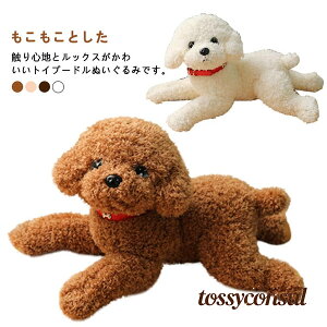  ʂ gCv[h efB hbO ʂ A {   gCv[ ybg ^  ̂ʂ 킢    G q LbY j̎q ̎q 