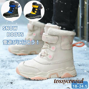 Xm[u[c LbY u[c ̎q j̎q ~ V {A N  g XL[ h hu[c WjA  ~p Xm[V[Y ʊw   킢 }W