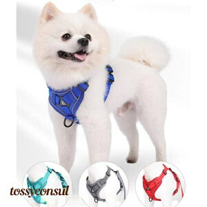  n[lX [hZbg L bV ^ ^  Ȃ ȒPE Ռz h~ U s hCu TCNO v[g Mtg V