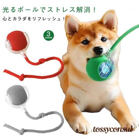 LEDライト おもちゃ 自動 ボール ペットおもちゃ 猫 3モード搭載 360°自動回転 猫 光る 犬猫 電動おもちゃ キャットボール 電動 ボール ペットおもちゃ 運動不足解消 USB充電式 子猫 成猫 大型猫対応 猫の狩猟本能を刺激 グリーン レッド プレゼント ギフト