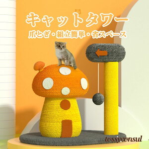 LbgL ܂Ƃ ^ ~j ߂Ƃ ܌ ܖ }bV[̌` VR[v ؐ u {[ t ^s ]|h~ 萫 gȒP ȃXy[X V