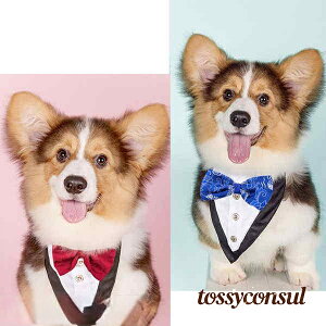 ybgpX^C ^ L  `[J[ Op ^ ^ ANZT[  t [X ߂ ʐ^B蓹 LOtHg S[WX GKg  ybgpi 