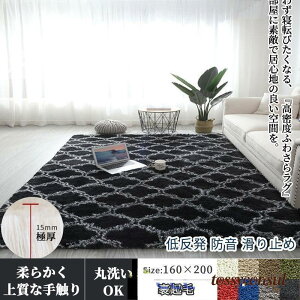 V O J[ybg  3 t h ~ 􂦂 160×200 I[V[Y  t k O~ F rO[ xbh[ H~ v[g Mtg