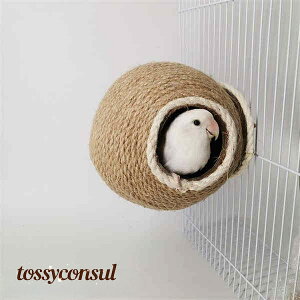 CR  P[W   tȒP  ~܂ ܂Ƃ p[` Q    Vя  RRibc v[g V