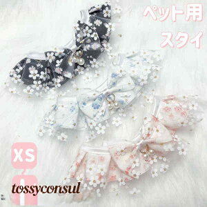 ybgpX^C   L ^ L  `[J[ ANZT[  t [X ߂ ʐ^B蓹 LOtHg S[WX GKg ybgpi v