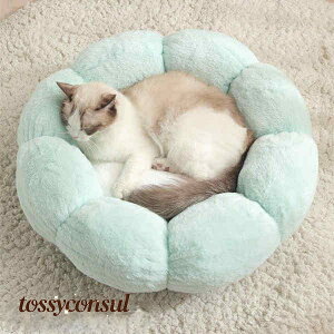 ybgxbh ~`t[ ^ ^ ^ p O[ O[ sN Lpxbh pi Lpi ̏d4kg`9kg ybgpi ~ NbV  ybgNbV   g