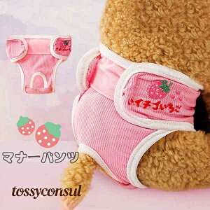 p Tj^[pc }i[pc 2_Zbg 4color p }i[EFA D  pi ނJo[  PApi ppEFA U o ybgG  ybgp q