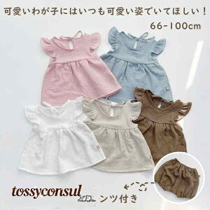 xr[ s[X pc Zbg  o| m[X[u qǂ Vv Ԃ c xr[ Rbg xr[EGA  킢 ʉ oYj t ĕ  ̎q Zbg