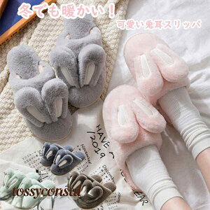 [V[Y ETM fB[X Y Xbp ~p jp     ~ e K[Y  C V[Y 􂦂 ₷ zj 