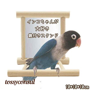 X^h pp[`  t pi IE CR ybg  P[WX^h   R P[W~܂ ؐXe[W o[hg v[g V