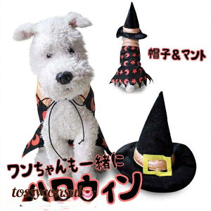 nEB[ RXv ybg  L  Halloween 2_Zbg }g nbg Xqt  pȒP p Lp  ˂ ybg  @g RX`[ Cxg p[eB[  y