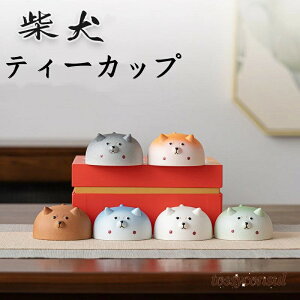 V 킢 Ղ Mtg v[h ƒp  eB[Zbg eB[Jbv Jbv q eB[Jbv eB[Jbv Č