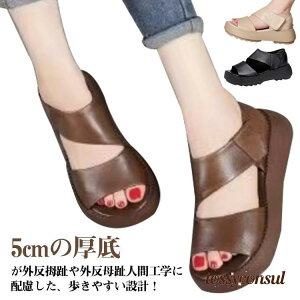 T_  ʋC fB[X  T_ ₷ Od EH[LO gȌT_ b K Xj[J[T_ g v[g Mtg V