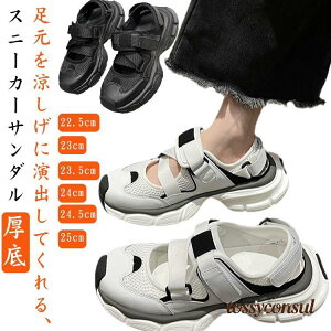  fB[X Xj[J[T_ 4cmq[ ɂȂ [Jbg V[Y y C t ₷  RȂ ʋC  킢 v[g Mtg V