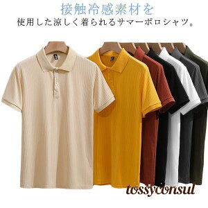 T}[jbg gbvX StEFA   ڐG⊴ JWA אg |Vc Y Ђ  X  |Vc Jbg\[ v[g Mtg V