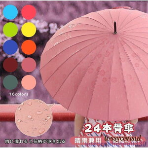 P fB[X ԎP J 킢 aP  JP P Gƍ͗lяオ ϕ 24{ uvJbg Ռ Jp v[g Mtg V