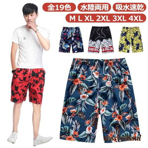 Y T[tpc p z n[tpc T[tV[c {[hV[c bVK[h G Ђ EGXgS 傫T v[g Mtg V