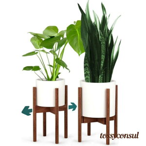 uX[p[SALEzv v^[X^h t[X^h ؐ ϗtA   ԑ u t[|bg Aؔ X^h v^[  u  CeA ~` rt