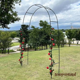新生活応援 フラワーアーチ ローズアーチ ガーデンアーチ つるバラ アーチ diy ばら バラアーチ 薔薇 バラ ばら 誘引 アーチ 組み立て 簡単 園芸支柱 菜園 家庭菜園 ガーデニング用 支柱 園芸 花立て 花台 庭園 花壇 繰り返し利用