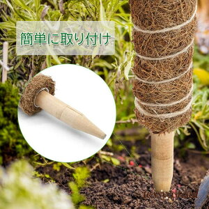 �V�������� 3�{�Z�b�g �R�R�X�e�B�b�N �����X�e�� �x�� �R�R�i�b�c ������� ���|�x�� �|�g�X �A���x�� �K�[�f�� �� �Ԃ����� �A�� ���� �ؐ� �R�R�i�b�c�x�� �x�� �K�[�f�j���O�p�x�� �ϗt