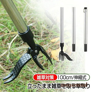 uX[p[SALEzv     ֗ ObY Lk G ܂ G XeX 背[L       J} i | _  