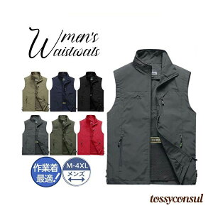 StxXg StEGA xXg Y bV ނxXg t jp ƒ _ d ʋ oR J} Lv ~^[ Bep