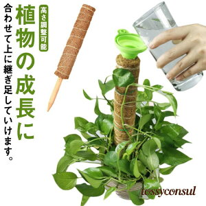 uX[p[SALEzv 2g |xp[ RRXeBbN Xex ϗtA x |x RRibcx AT|[g A K[fjOp Ԃ 鐫A g}g |gX _