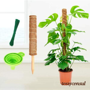 V RRXeBbN Xex ϗtA x |x A K[fjOp Ԃ RRibcx AT|[g 鐫A g}g |gX _Ɨp |p |xp[c 