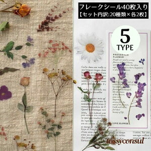 t[NV[ XebJ[ 40Zbg R[W  A 蒠fR Ao L J_[ v[g Mtg g